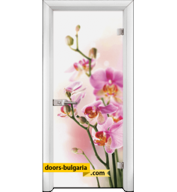 Стъклена интериорна врата, Print G 13-2, каса Бяла