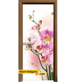 Стъклена интериорна врата, Print G 13-2, каса Златен дъб