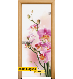 Стъклена интериорна врата, Print G 13-2, каса Светъл дъб