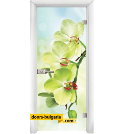 Стъклена интериорна врата, Print G 13-3, каса Бяла