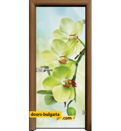 Стъклена интериорна врата, Print G 13-3, каса Златен дъб