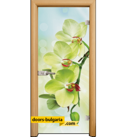 Стъклена интериорна врата, Print G 13-3, каса Светъл дъб