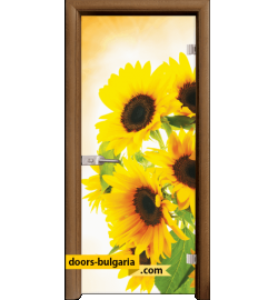 Стъклена интериорна врата, Print G 13-4, каса Златен дъб