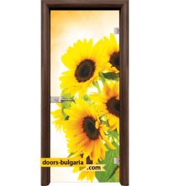 Стъклена интериорна врата, Print G 13-5, каса Светъл дъб